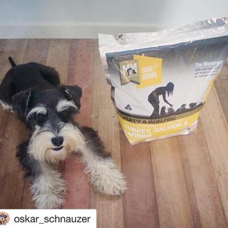 Aww! @oskar_schnauzer you are too cute!
Thank you for your support 😍

#Repost @oskar_schnauzer with @get_repost
・・・
Oskar can't wait to try his new dry food 💕🐟🦃 thanks @mealsformutts