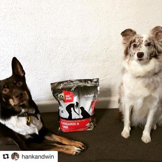 Aww! @hankandwin you guys are so adorable😍 thank you for your support.

#Repost @hankandwin with @get_repost
・・・
Cause what else is there #mfm #mealsformutts